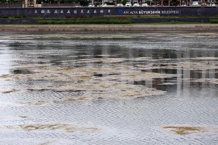 PROJE KENDİ HALİNE BIRAKILMALI