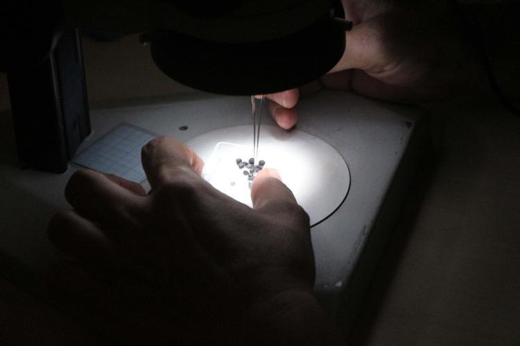 ÇUKUROVA’DAKİ HAYATI BİLMEK İSTİYORUZ