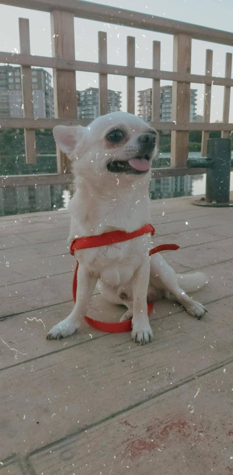 UZLAŞMAK İSTEMİYORUM