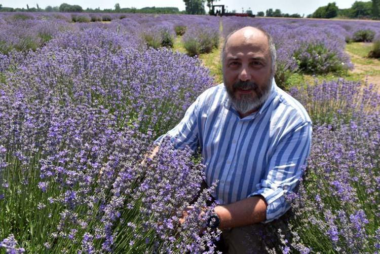 KİLOSU 50 İLE 70 EURO ARASINDA DEĞİŞİR