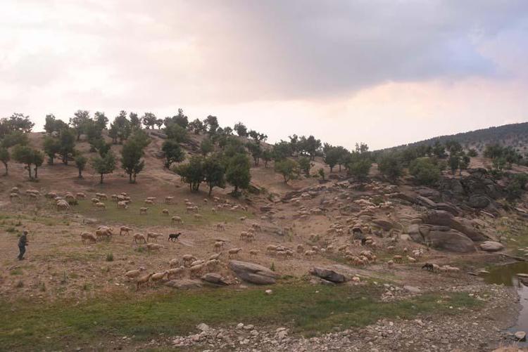 ‘ZORLUKLARI KELİMELERLE ANLATILMAZ’