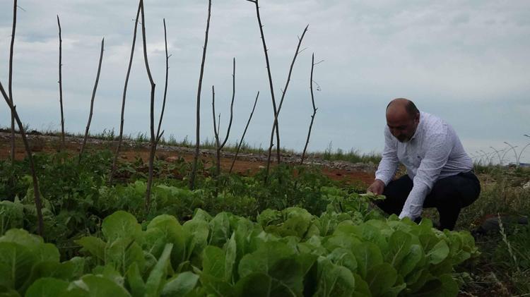 ÖNCEDEN BURADA DENİZİ SEYREDİYORDUK