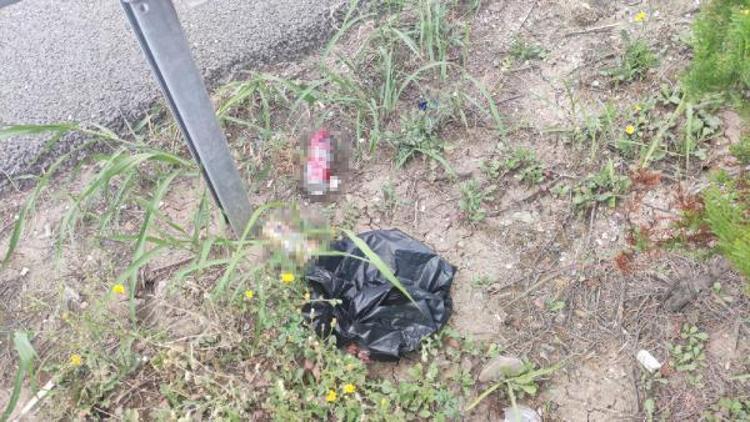 ‘SÜRÜCÜ İÇKİ ŞİŞELERİNİ YOL KENARINA ATTI’