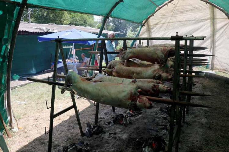 BU BİR GÖNÜL SPORU