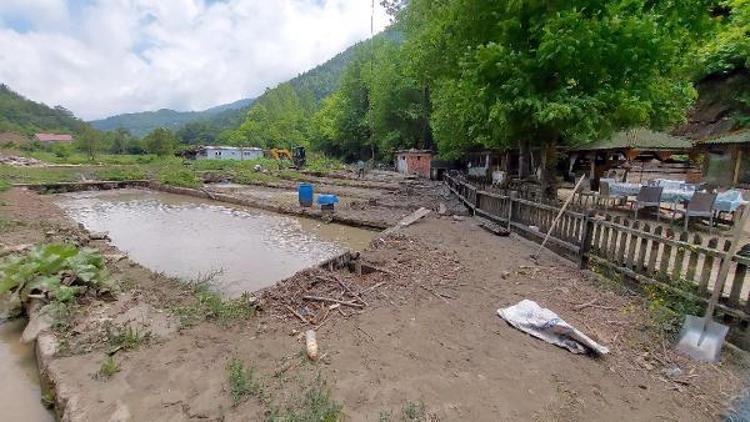 300 BİN YAVRUM TELEF OLDU