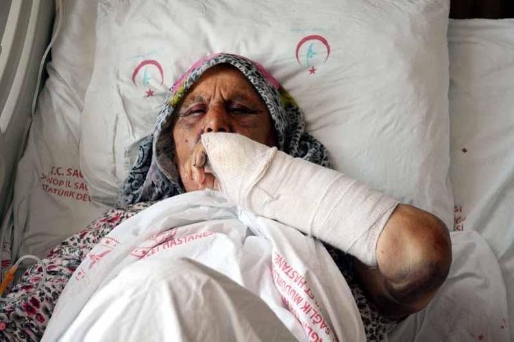 BUNU YAPAN DOĞURDUĞUM EVLAT