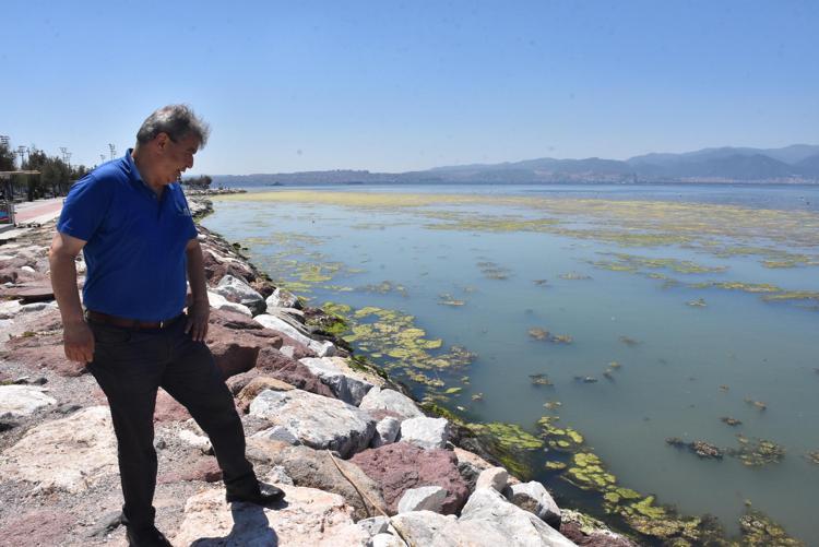TEMMUZ BAŞINDA GÖRMEK ÇOK ŞAŞIRTICI