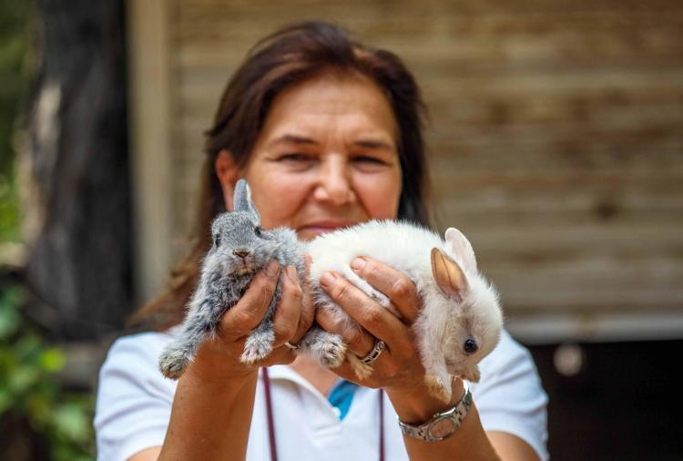 EV ORTAMINDA TAVŞANLAR EVCİLLEŞTİRİLEMEZ