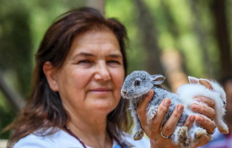 BU TÜR HAYVANLAR HEDİYE EDİLMEMELİ