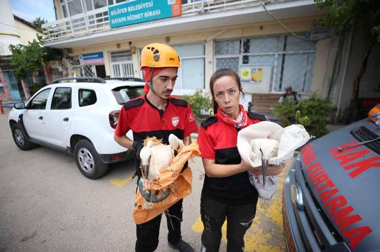 DEHİDRASYONA GİRDİĞİ BELİRLENDİ