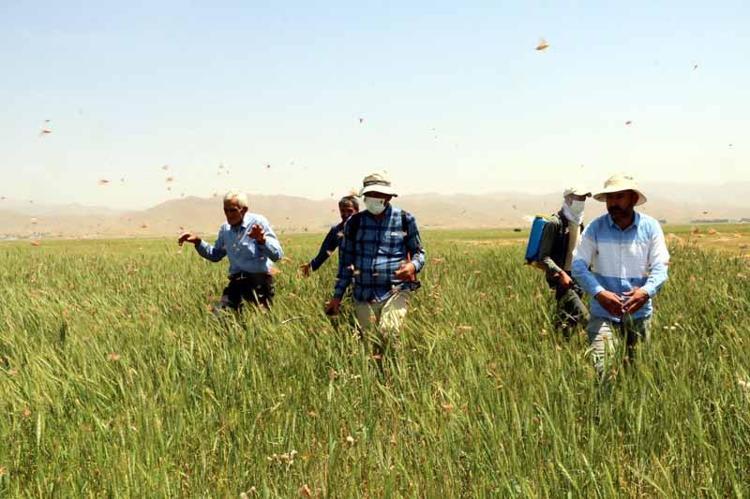 ÇÖZÜM İSTİYORUZ