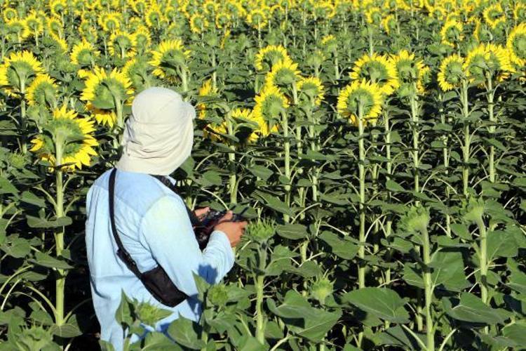 ‘HEMEN MÜDAHALE ETMEMİZE RAĞMEN YÜZDE 30 KAYBIMIZ VAR’