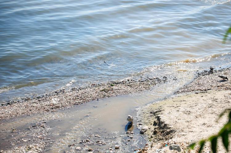 SUYUN KİRLİ OLDUĞU SÖYLENSE BU KADAR İNSAN BURADA YÜZMEZ