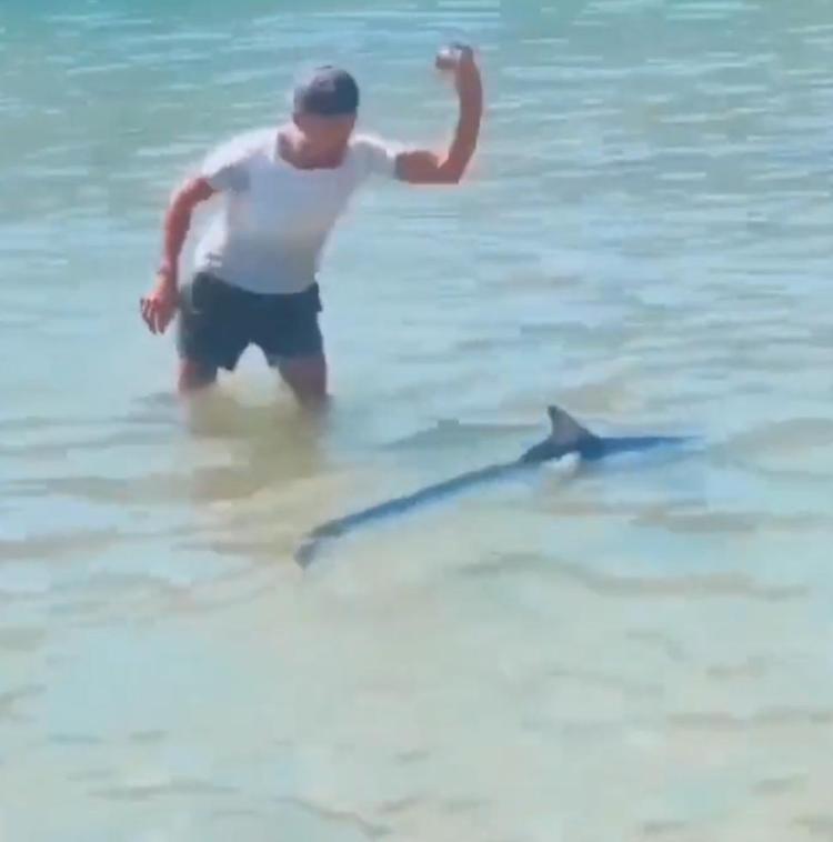 DAHA ÖNCE TIRMIKLA SALDIRILMIŞTI