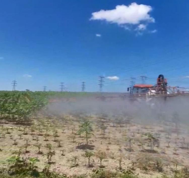 KELEBEKLERİ GÖRDÜK, UYARI YAPILMADI