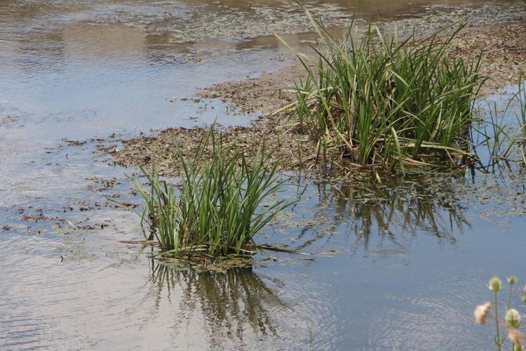 BİZİM İÇİN KORKU VERİCİ