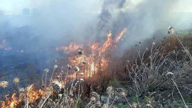 İZMARİTLER SÖNMÜYOR