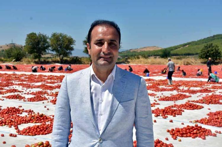 PİZZA VE MAKARNA GİBİ YİYECEKLERDE KULLANILIYOR