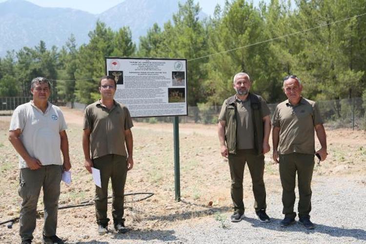 NESLİ KRİTİK TEHLİKE ALTINDA