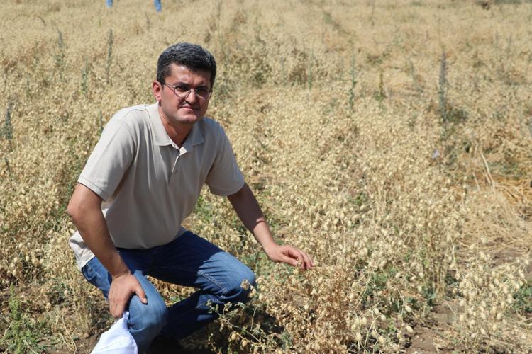 30 BİN DEKAR ALANA KADAR GERİLEDİ