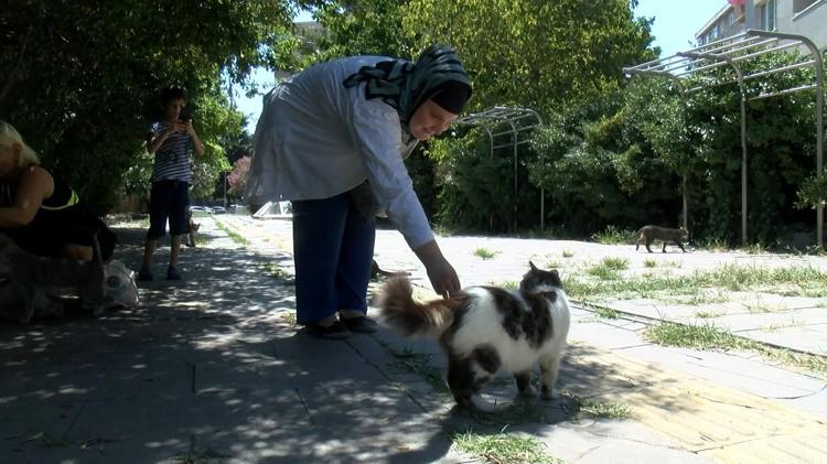 ESNAF HAYVANLARIN GÖZ ZEVKİNİ BOZDUKLARINI DİLE GETİRDİLER