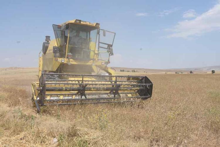 NADASA BIRAKACAKTI, PELEMİR EKTİ