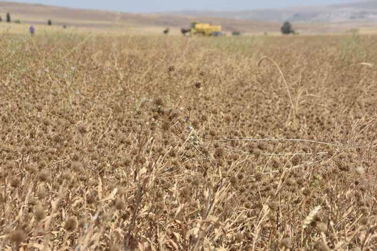 JET YAKITI AR-GE’Sİ TAMAMLANDI