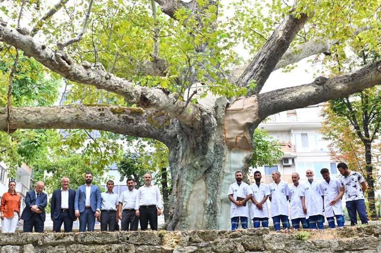 ÇINAR HEKİMLERİ İSMİNİN PATENTİNİ ALDIK