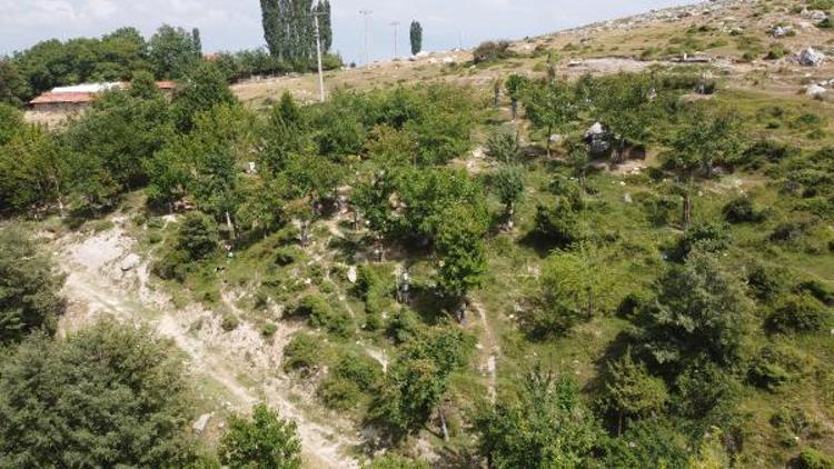 SUYU GETİRDİKTEN SONRA MEYVE FİDANI DİKTİM