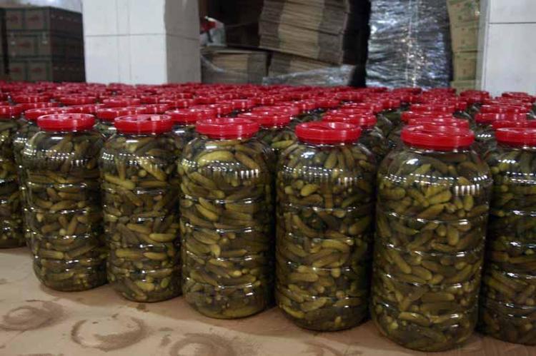 ‘İNSANIN BİLE TURŞUSUNU YAPARIZ’