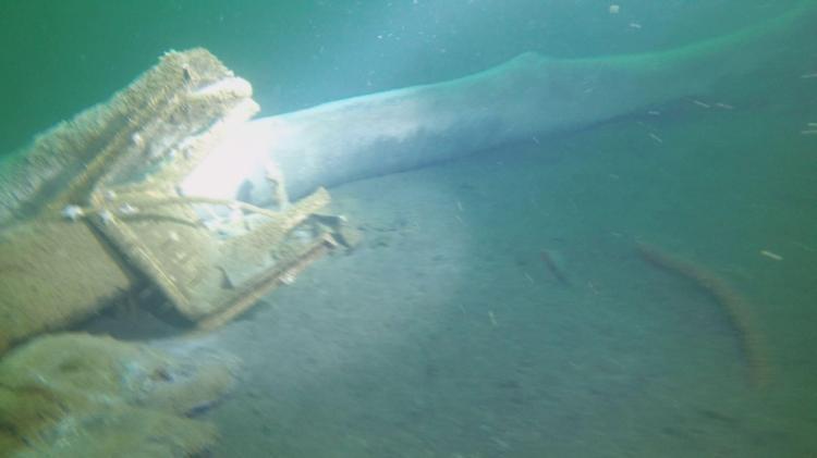 ‘GERÇEK GÖRÜNTÜLER VE DOĞANIN GÜCÜ SU ALTINDA DURUYOR’