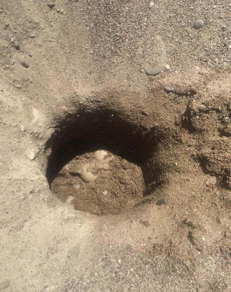 SOĞUK HAVA YUVALARI ETKİLEDİ