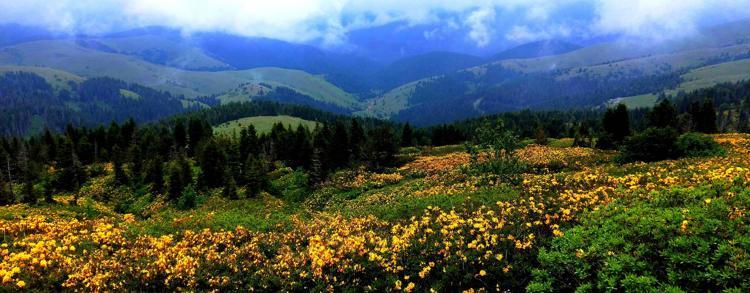 İNSANLAR YOLLA BU BÖLGEDE TURİZM HAREKETLENDİ DİYOR’