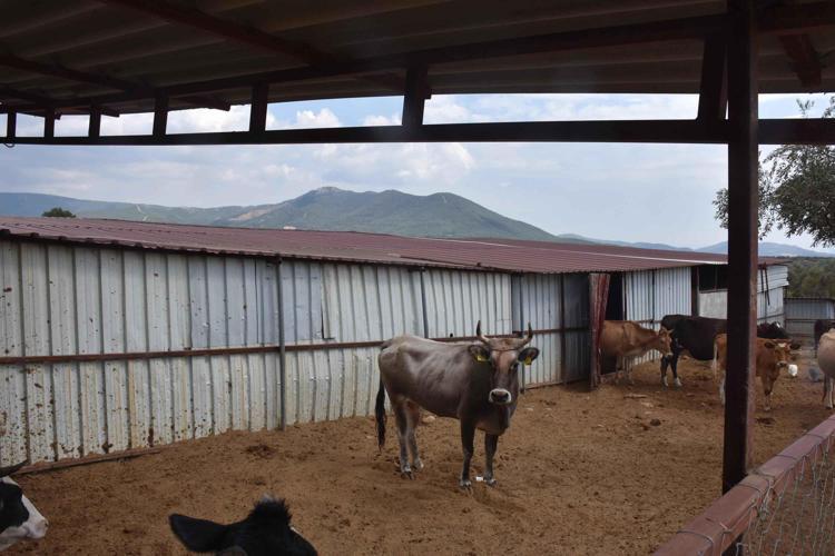 AHBAP SATIN ALDI ANCAK FİYATI AÇIKLANMADI