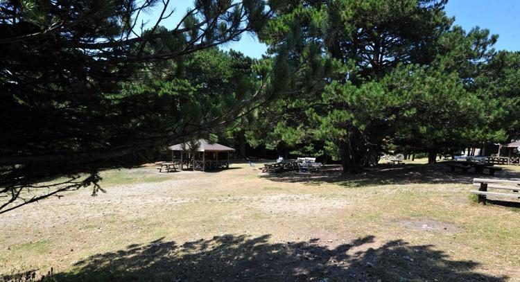 ULUDAĞ’DA EKOSİSTEM KENDİNİ YENİLEDİ