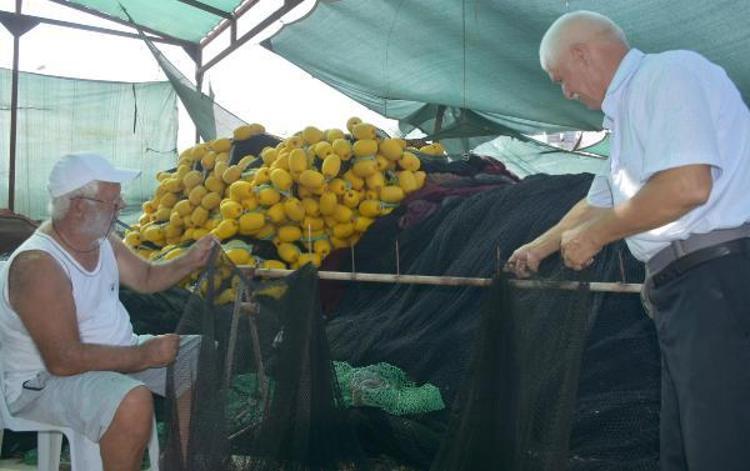 PALAMUTTA BOLLUK VAR