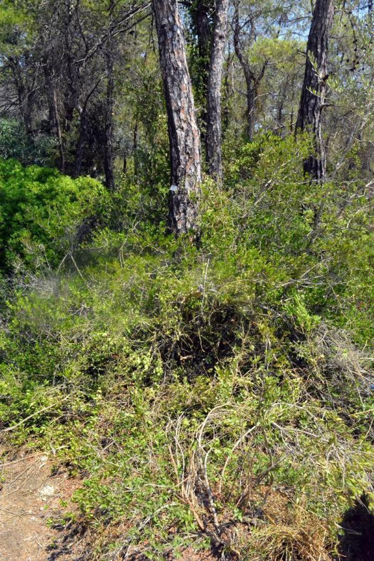 OTEL YETKİLİLERİYLE ANLAŞAMADI