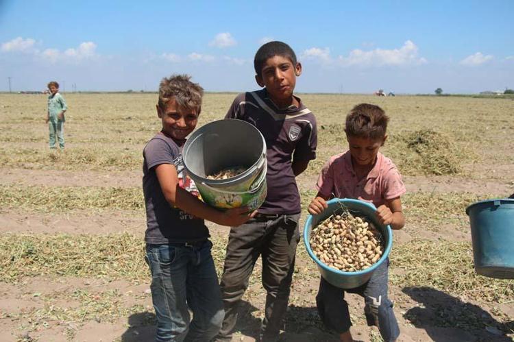 FİYATLAR YÜKSELEBİLİR