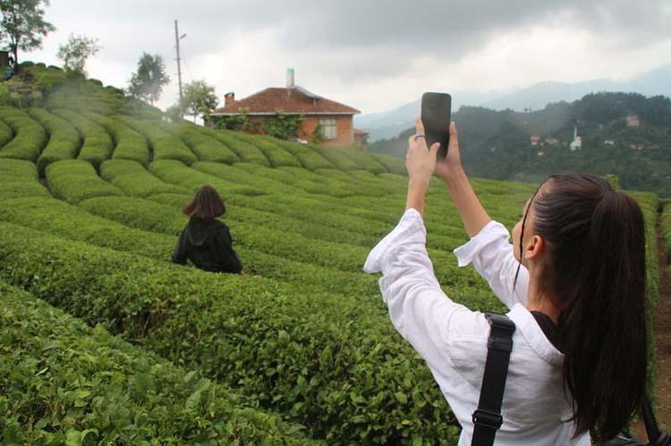 ‘ÇAYI BELKİ İLAÇ SEKTÖRÜNDE KULLANACAĞIZ’