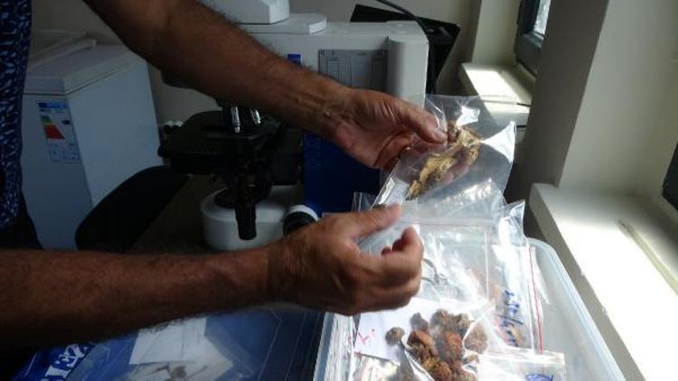 TÜRKİYE İÇİN 150 YENİ KAYIT