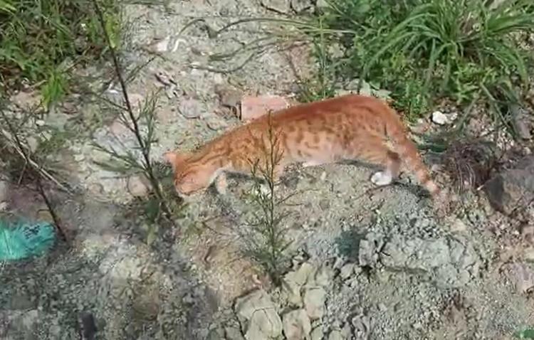 ‘ARAŞTIRMA YAPMALARINI İSTİYORUZ’