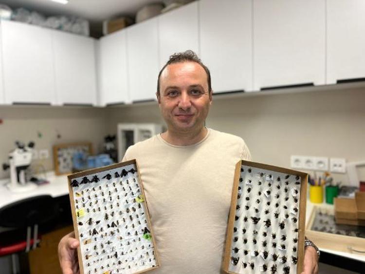 ARILADIN YÜZDE 50 DAHA FAZLA GELDİĞİ GÖRÜLDÜ