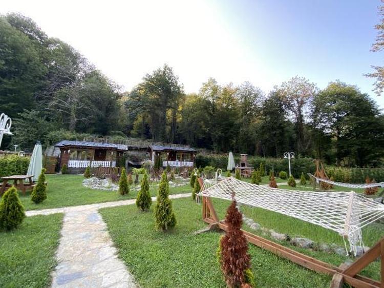 FRANSADAN, ALMANYADAN GELEN VAR