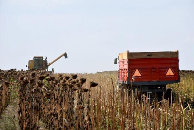 YAĞIŞ OLMAMASINA RAĞMEN SUYU TUTUYOR