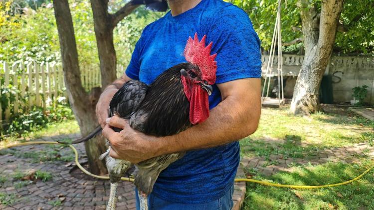 ‘MÜTHİŞ BİR SEVGİ BAĞIMIZ VAR’