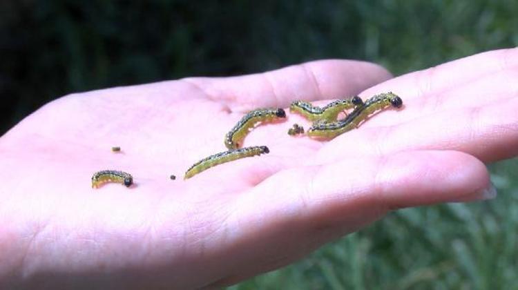 “PATLAMA YAŞANABİLİR