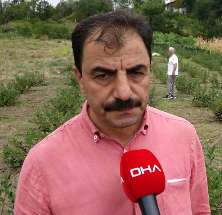 AKÇAABAT, MEYVENİN OLUŞUMUNA ÇOK MÜSAİT