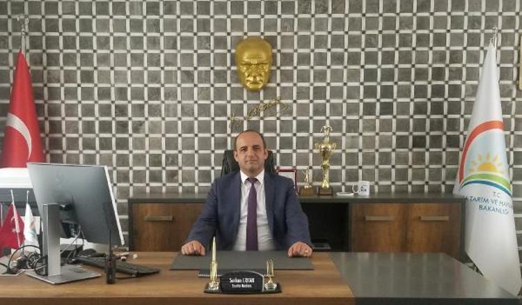 ETİ MAKARNA SOSU OLDU