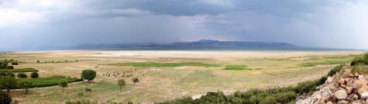 DİKKUYRUKLAR GELMİYOR