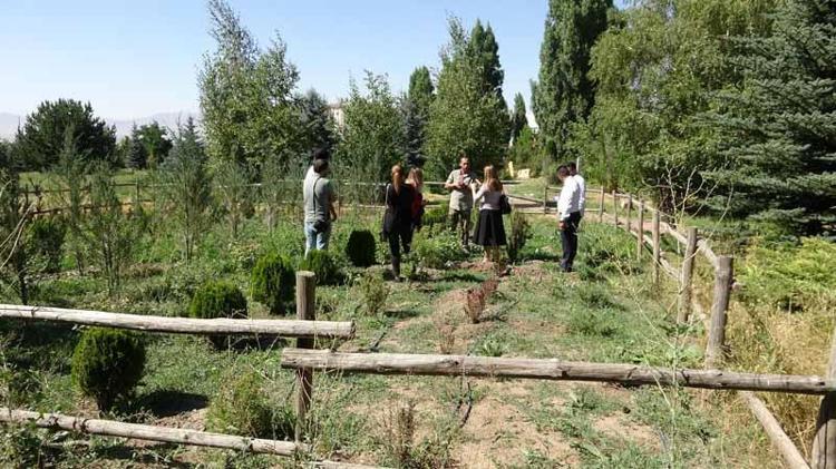 SIRADA KAR HASADI VAR